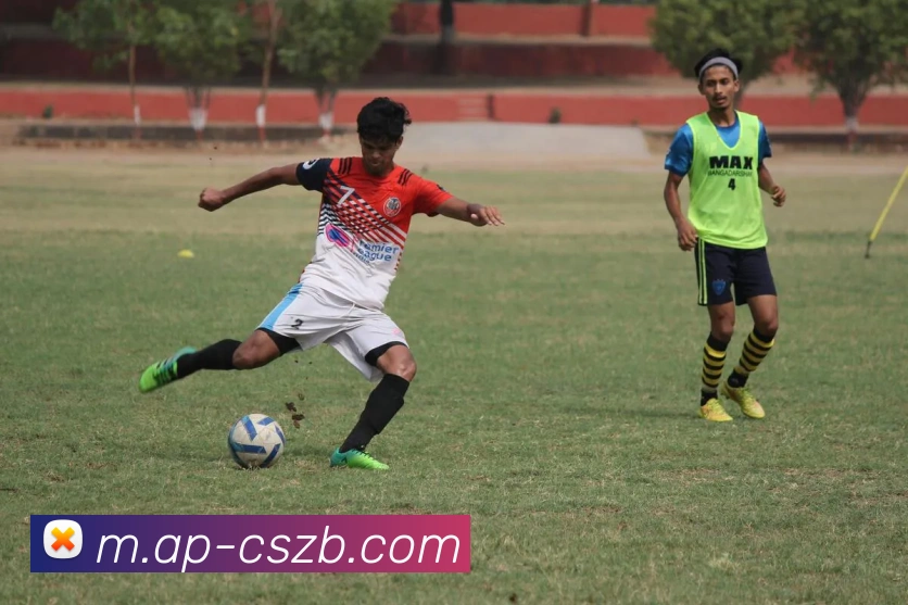 APP界面展示